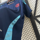 jersey FLAMENGO ENTRENAMIENTO II 25/26 HOMBRE